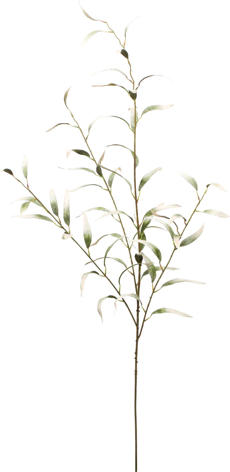 ベルベットユーカリプタススプレー