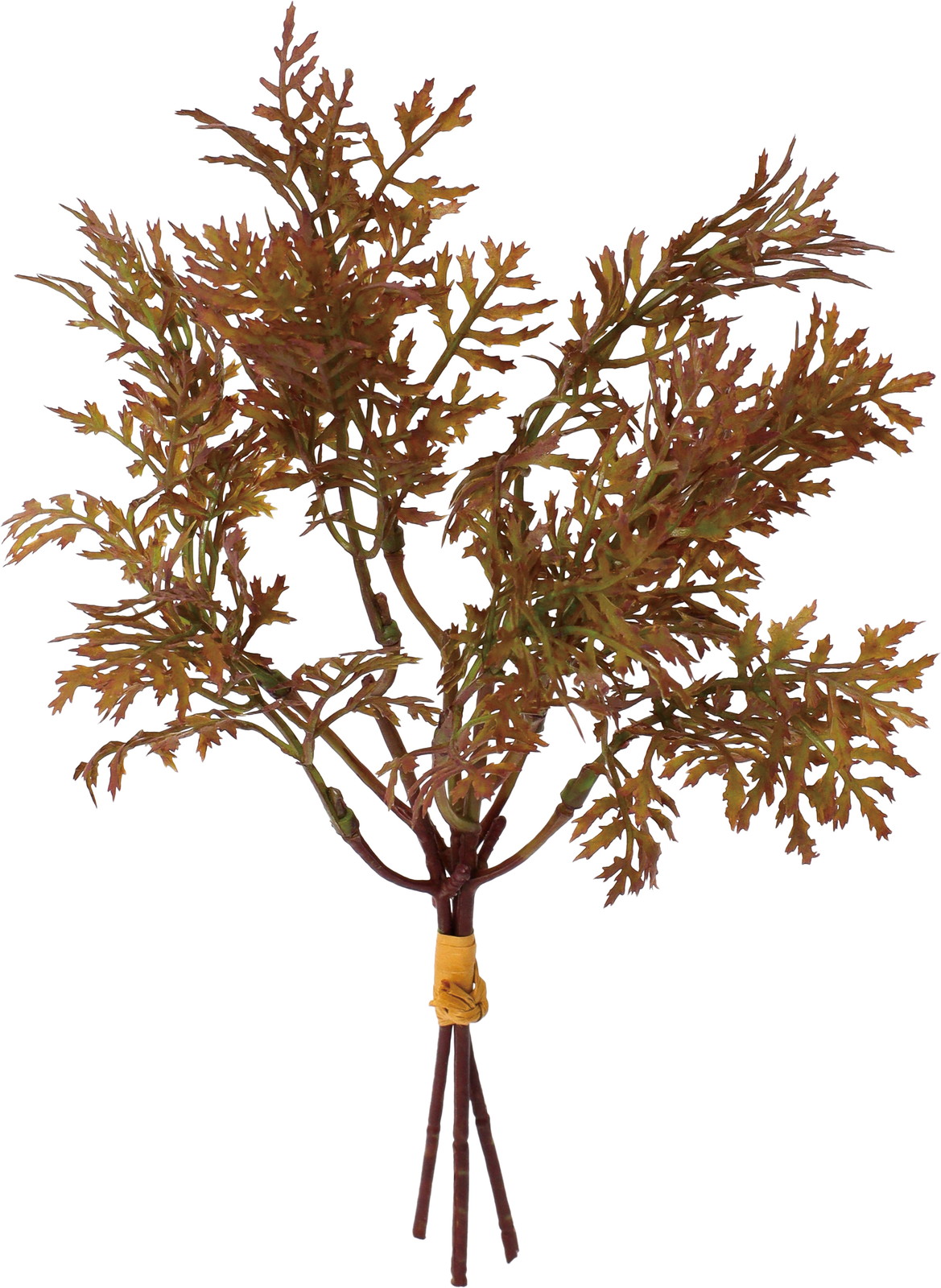 ��׽������*3