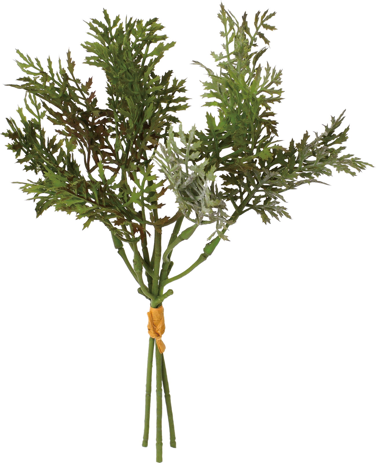 ��׽������*3