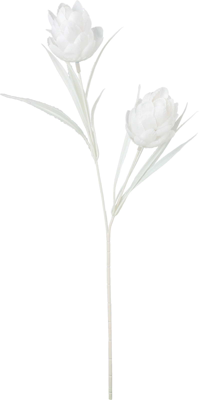 ネージュアーティチョークスプレー