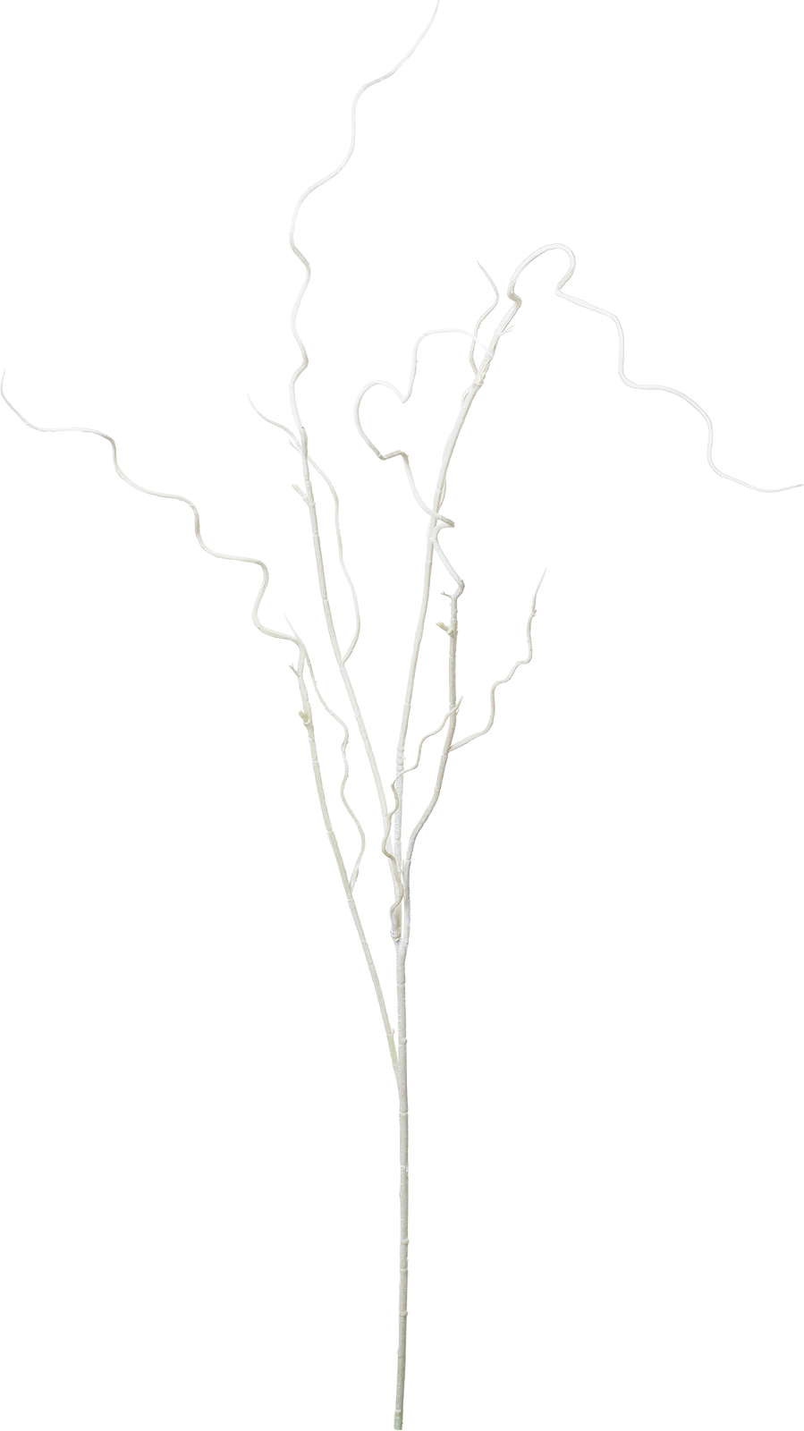 ワインディングペイントブランチ