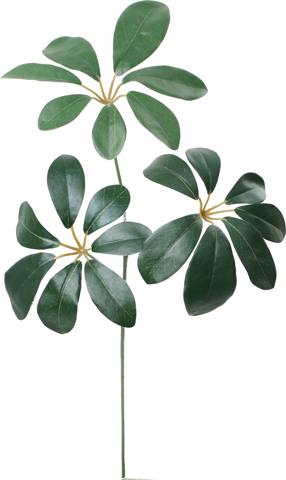 ػ��ټ���׽��ڰS