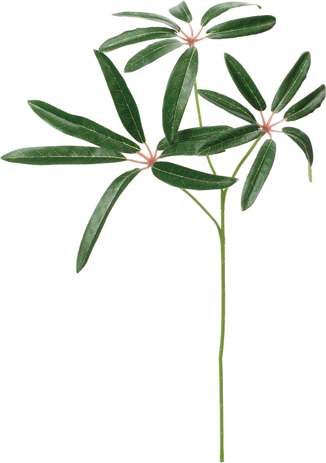 ػ��ټ���ױݶ޽è����ڰS