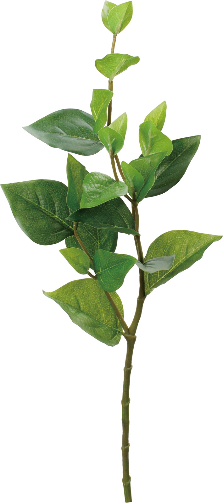 元上代¥480 ピンクレモネードリーフ