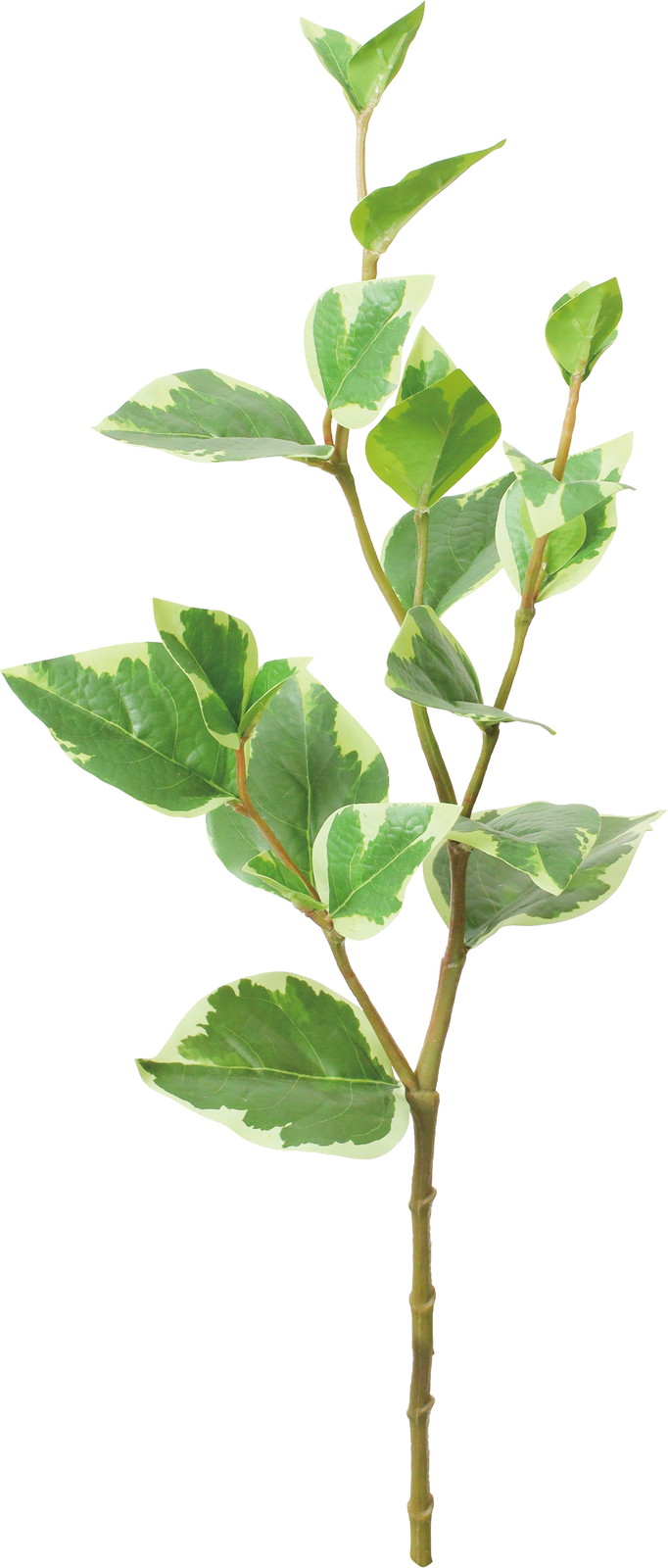 ����く480 ��ݸ��Ȱ��ذ�