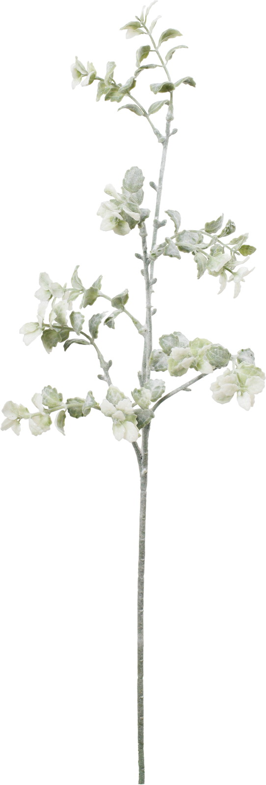 �ۯ����׽���ڰ