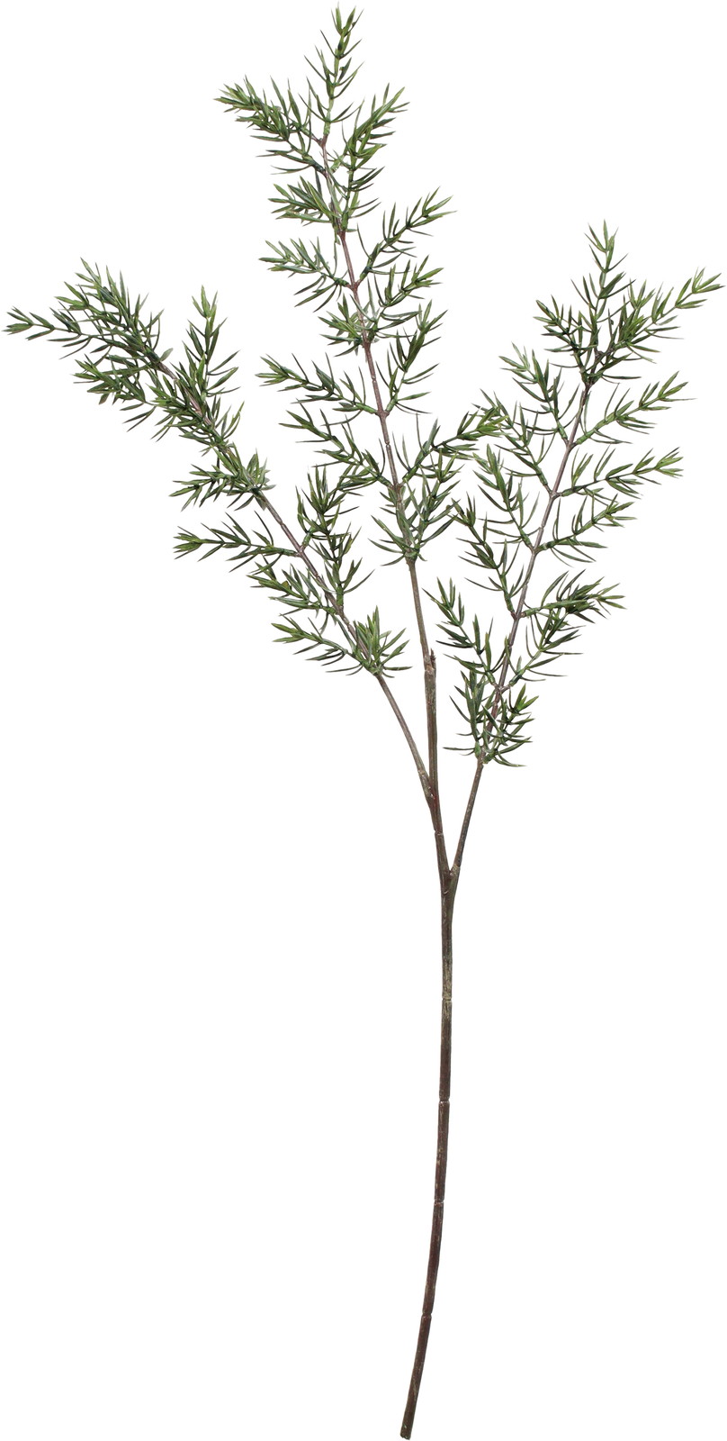 �Ӱ�۰���ذ���ڰ