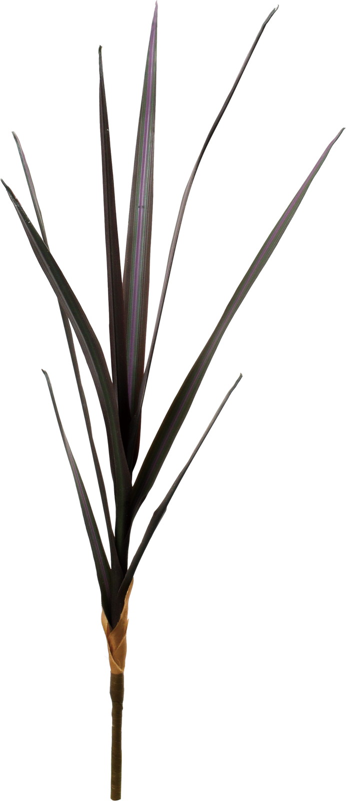 ��׾źݼ���ޯ��