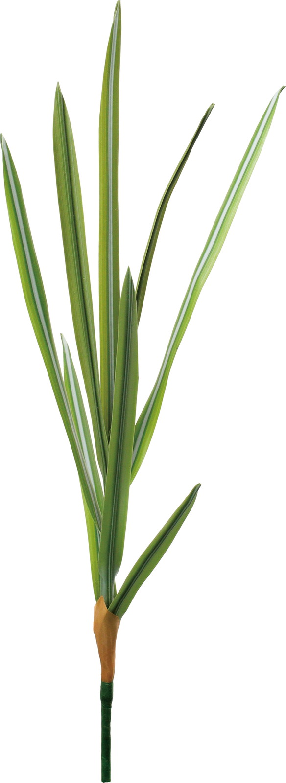 ��׾źݼ���ޯ��