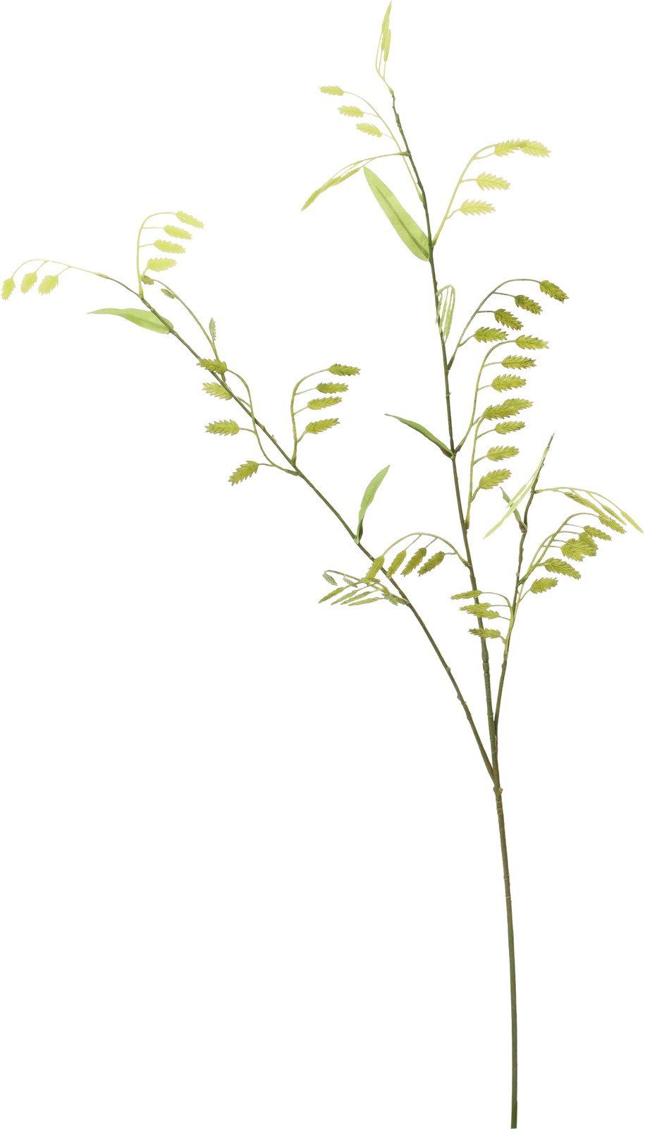 ����ݼ�ѽ��ڰ