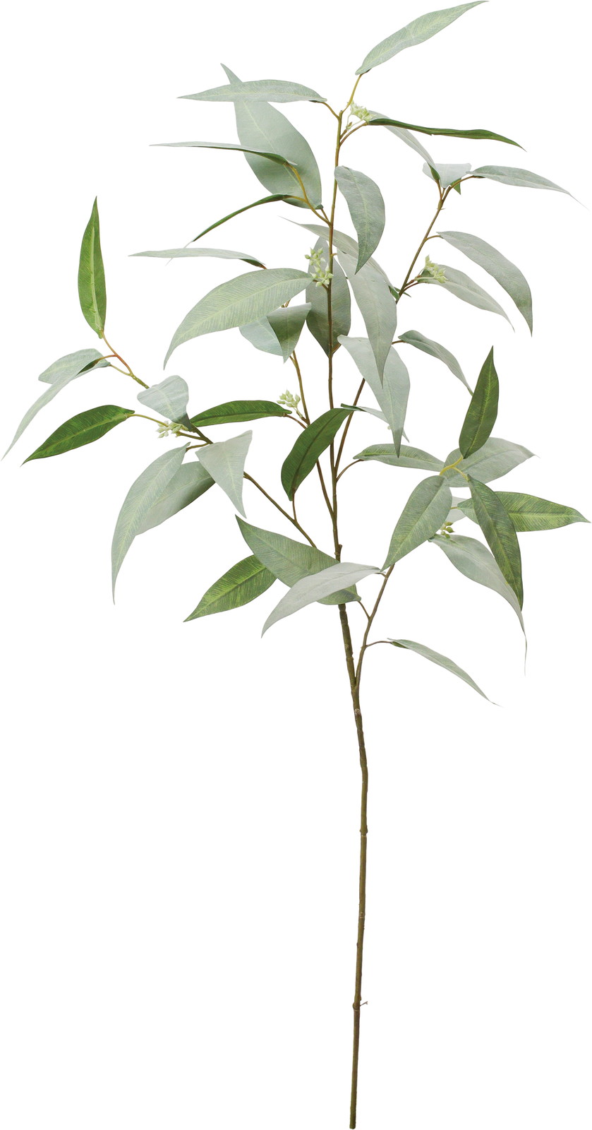 ο��հ�ؽ��ڰ