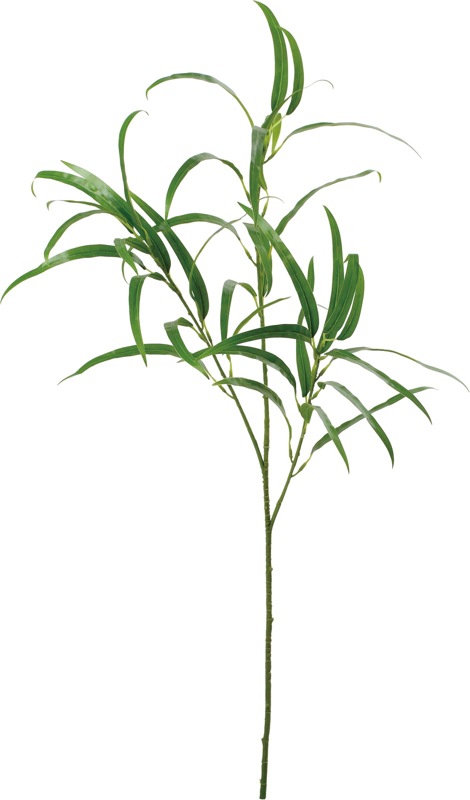 スイングユーカリスプレー