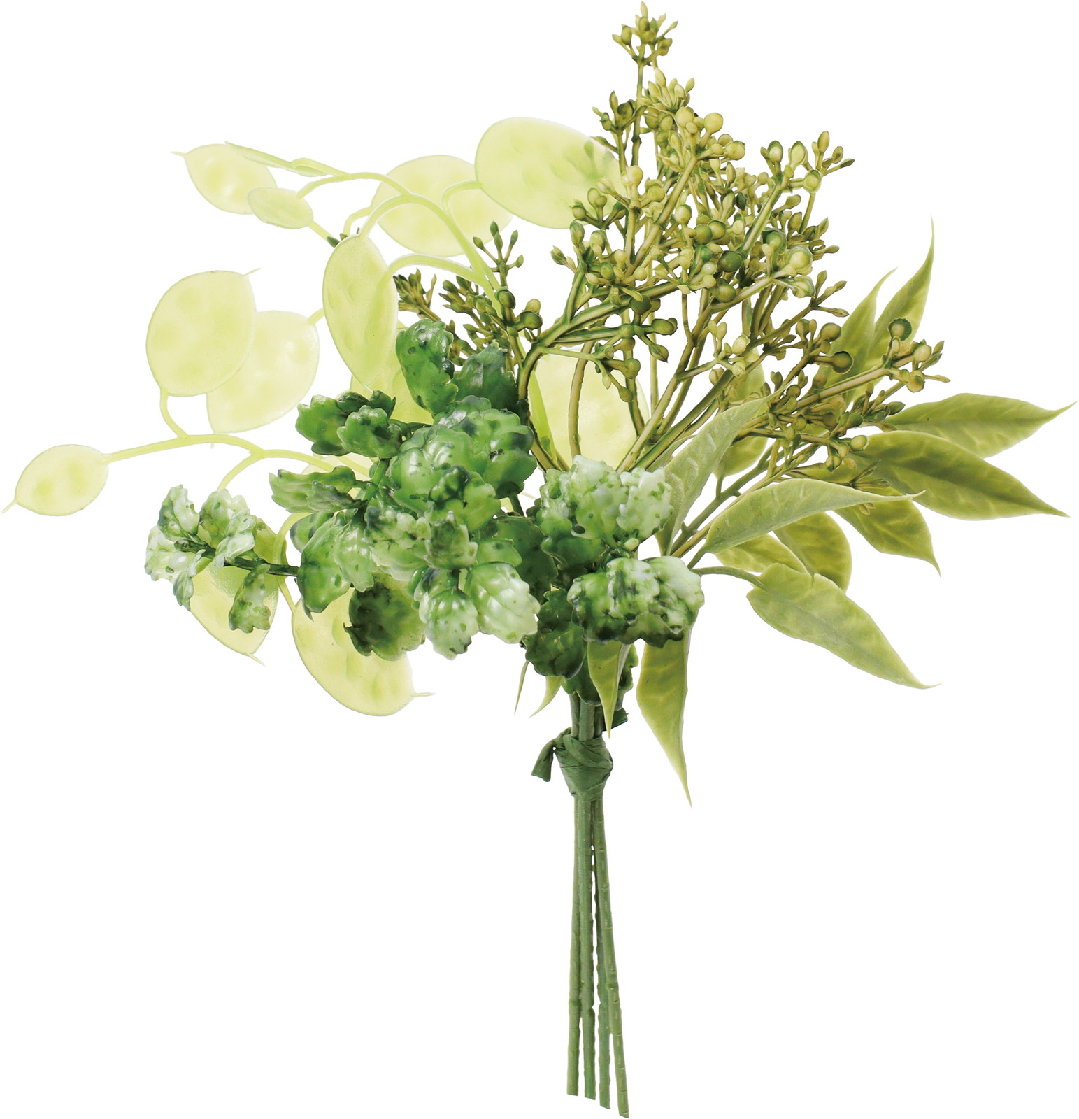 ̪�ذ��ذ�������