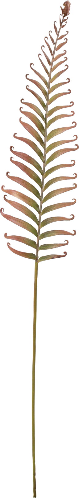 ��ذ̧��ذ�