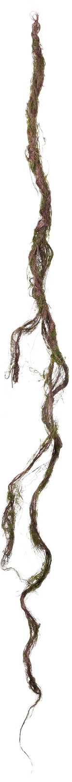 ���ݸ�ӽ�����