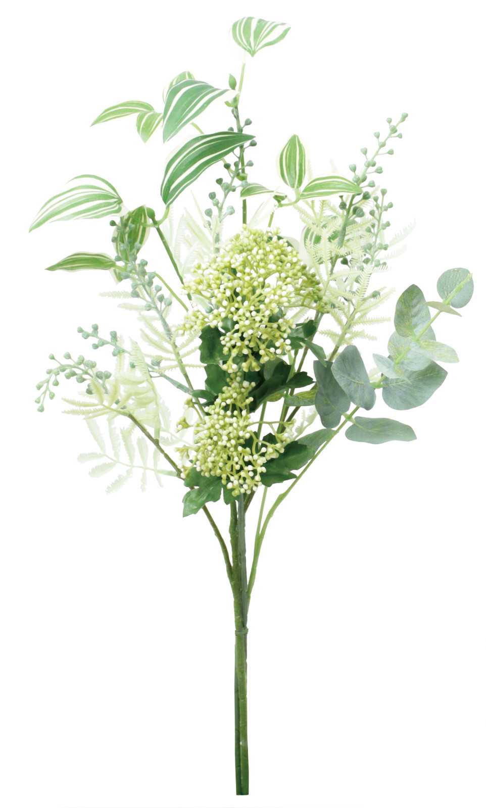 ���ި�Я��