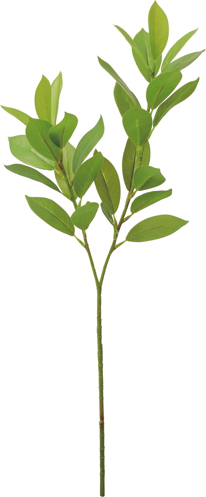 �گ�����ٽ��*2