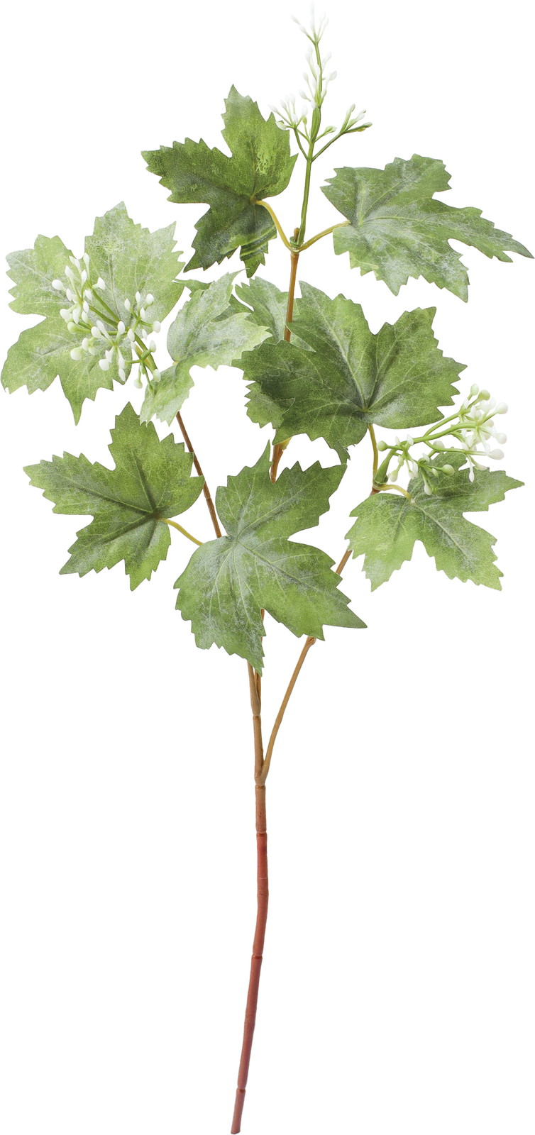 ��ڰ��ذ��·