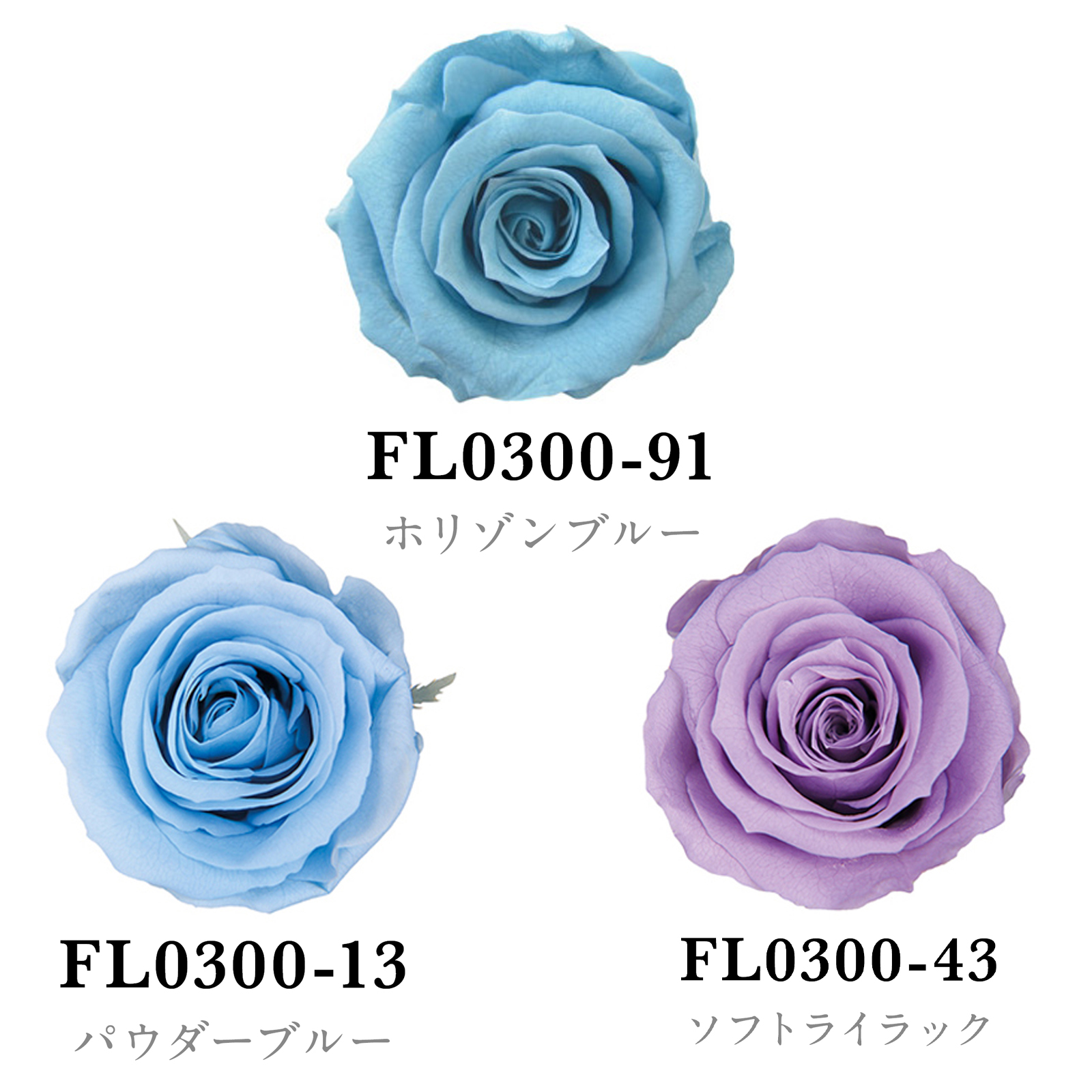 メディアナローズ カラーパレット アクア