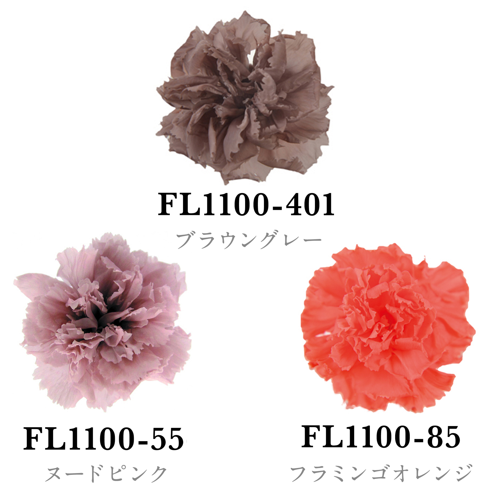 スタンダードカーネーション カラーパレット