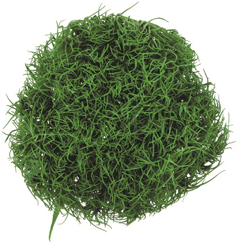 �O���[���{�[�� �O���[��