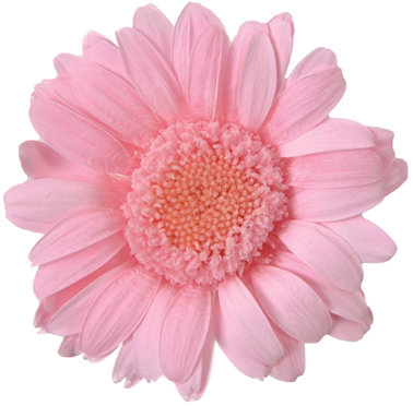 �~�j�K�[�x�� �޲�ް��ݸ