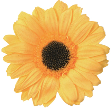 �~�j�K�[�x�� �ް���ݲ�۰