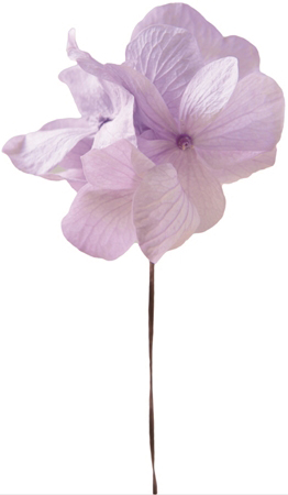 �������� ���޽��޻� ���ײׯ�