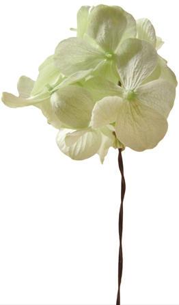 �������� ���޽��޻� ��׽��ذ�