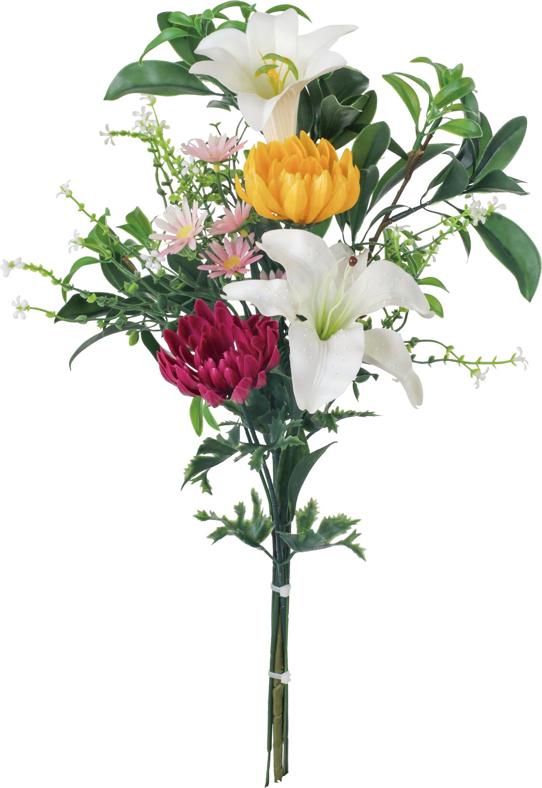 プラブッカクミバナLL