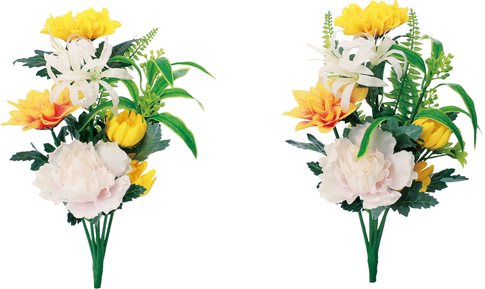 エコブッカブッシュ ダリア(2P)