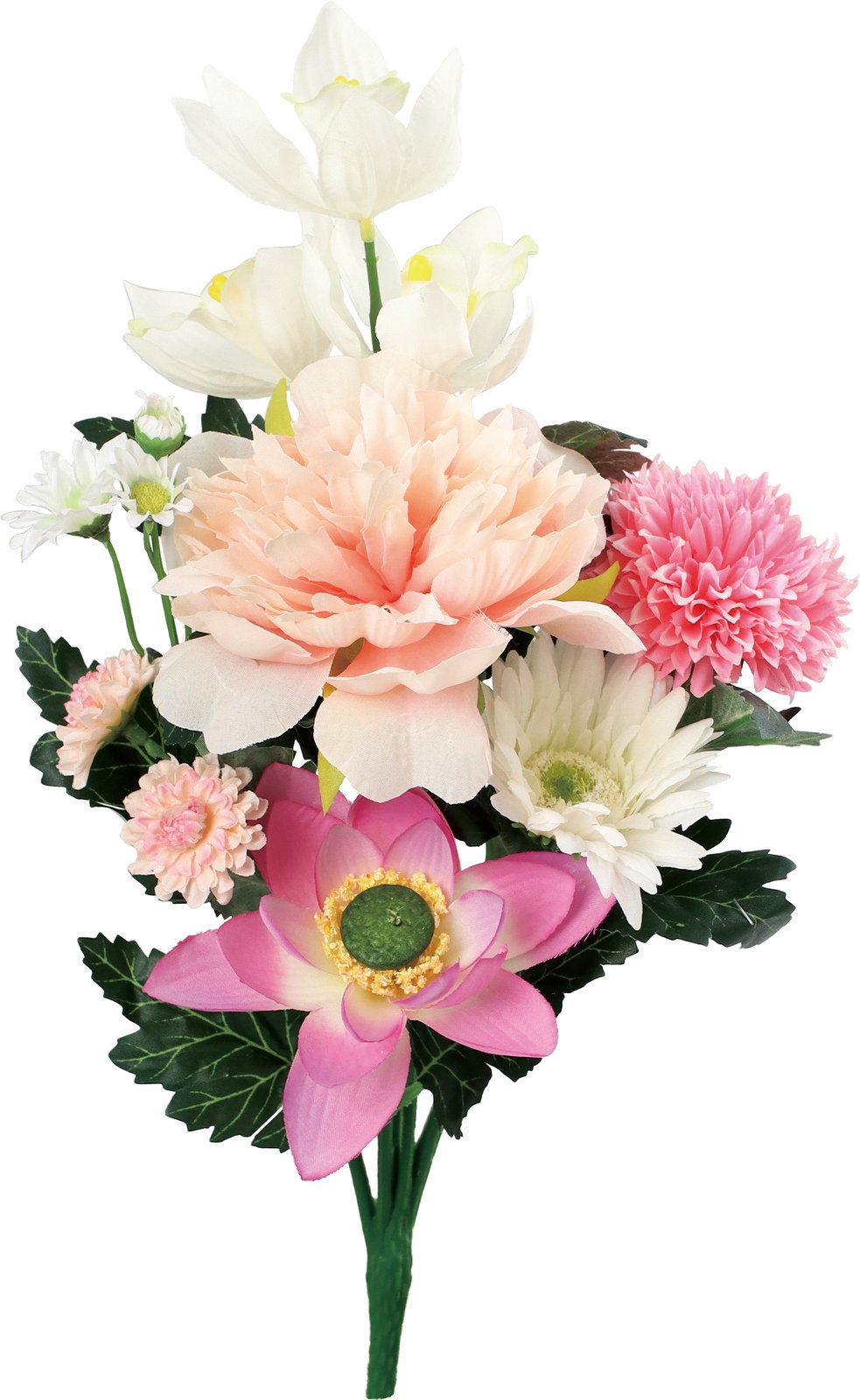 エコブッカブッシュ ピオニー(2P)