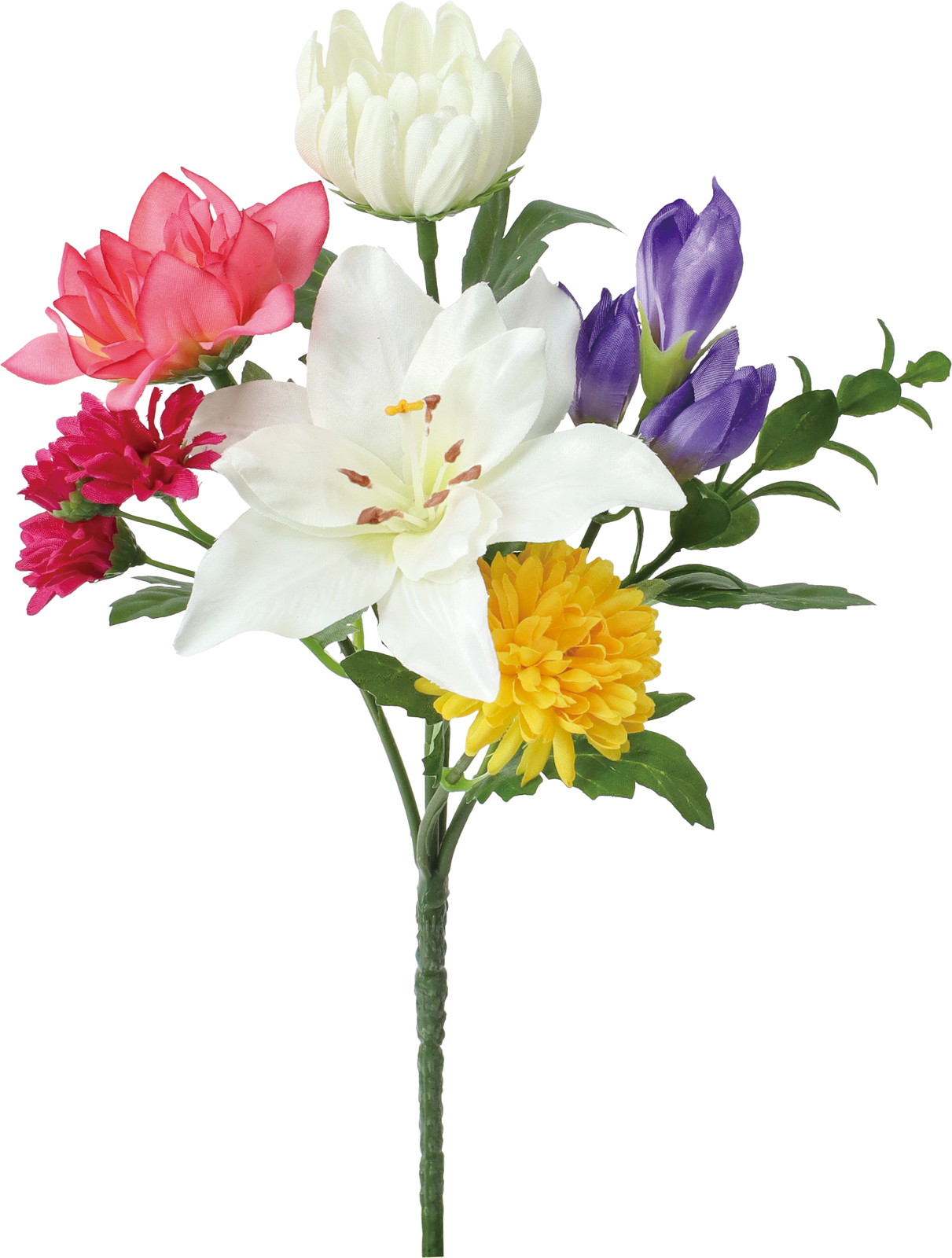 �����ޯ��