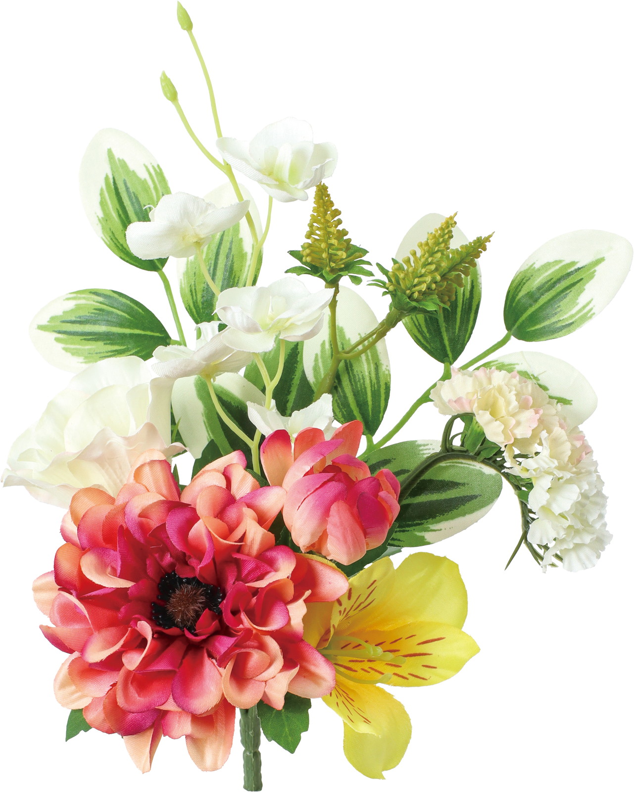 ��������ر