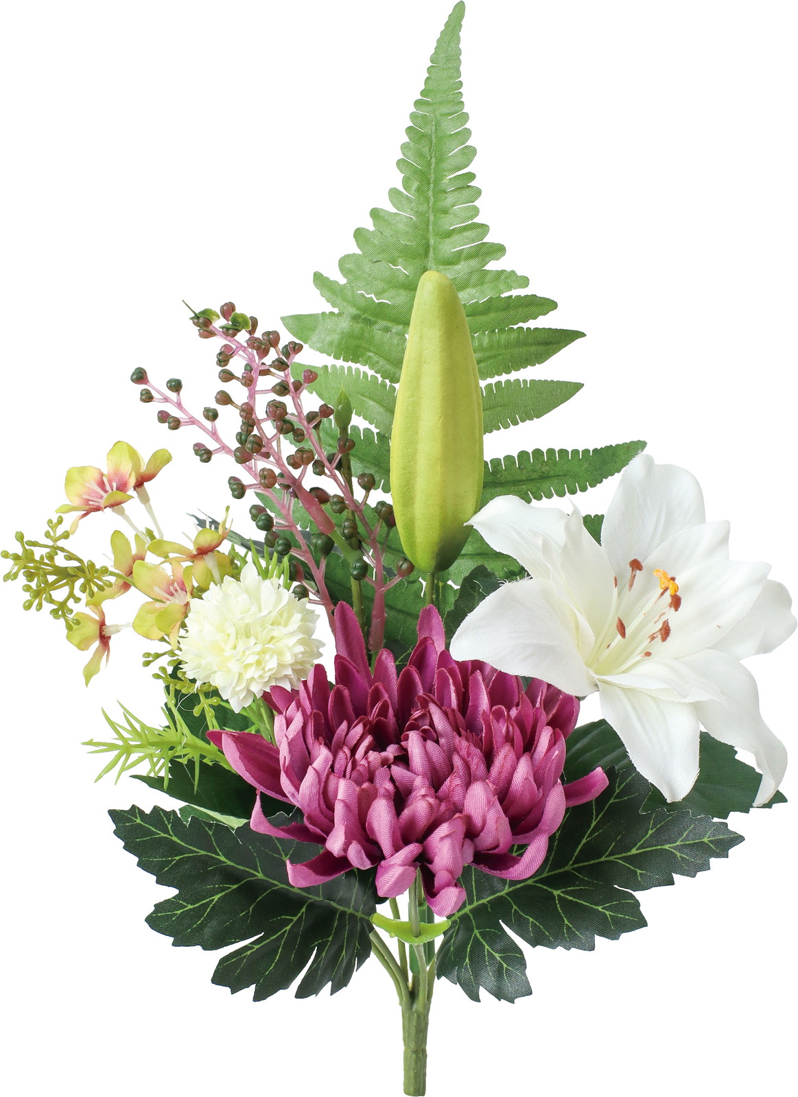 ��������