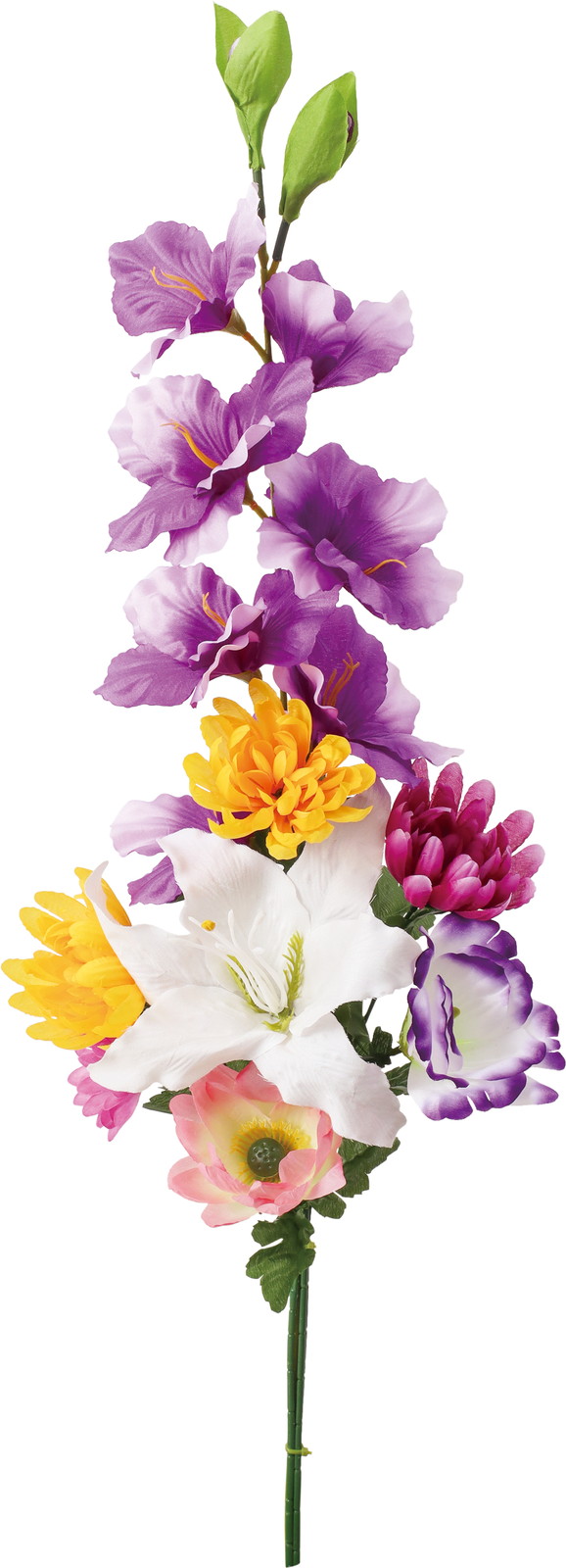 ��׼޵�����