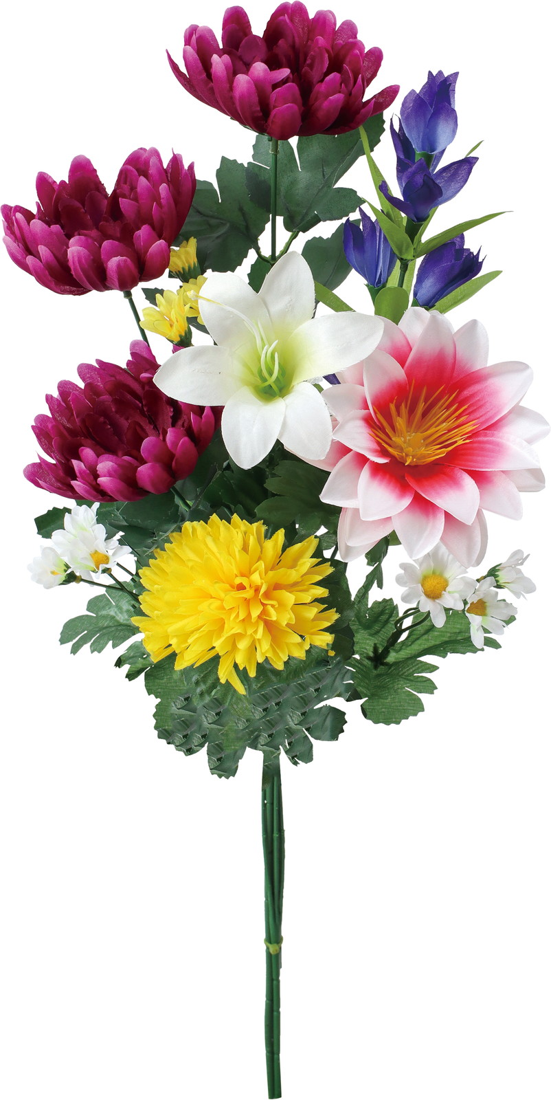 �����޳�����