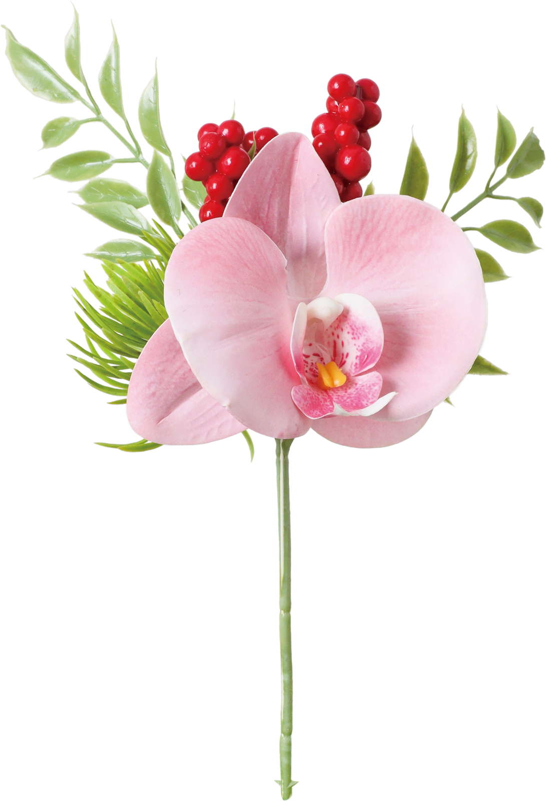 ミックスコチョウランピック