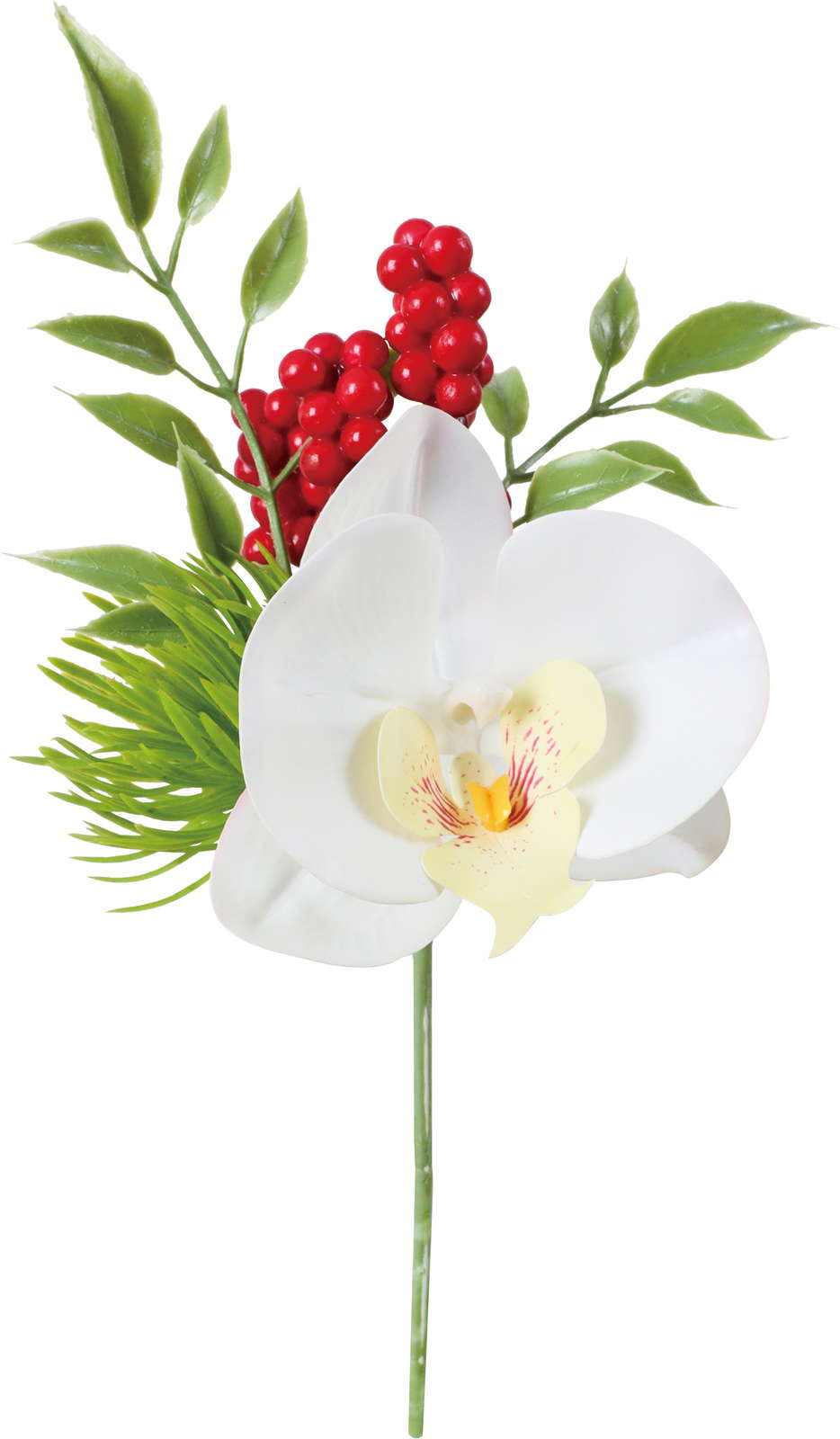 ミックスコチョウランピック