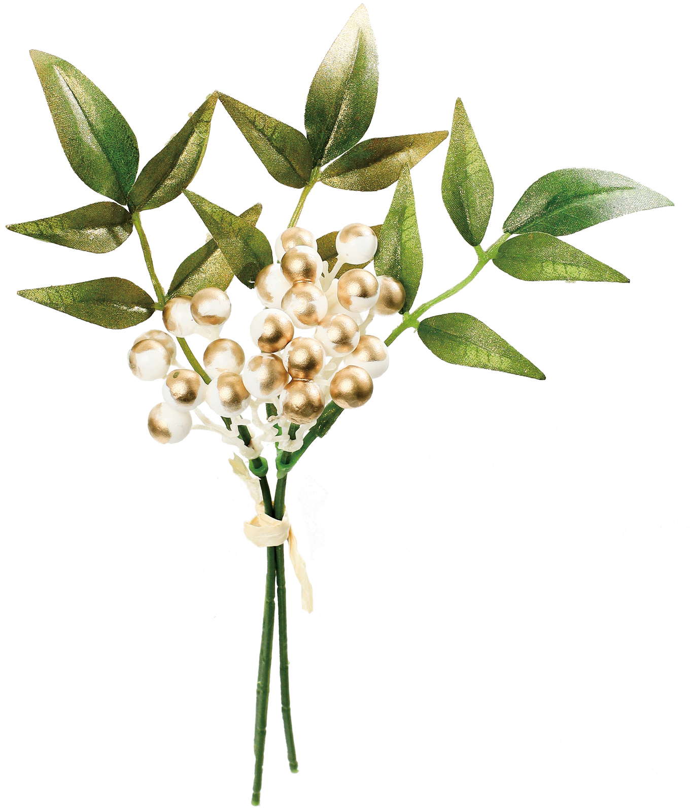 ブラッシュナンテンバンドル3P