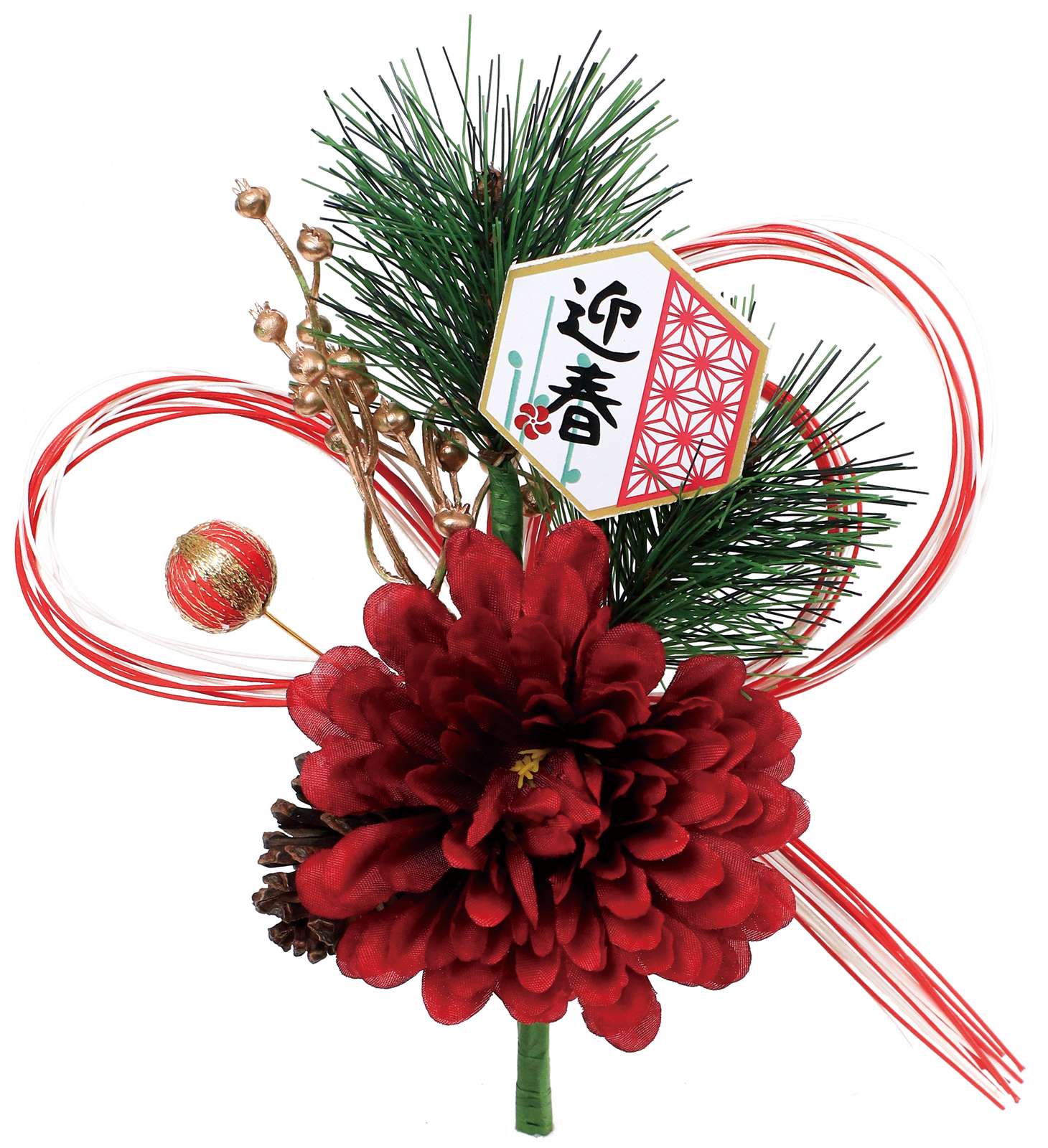 ゲイシュンキクブッシュ