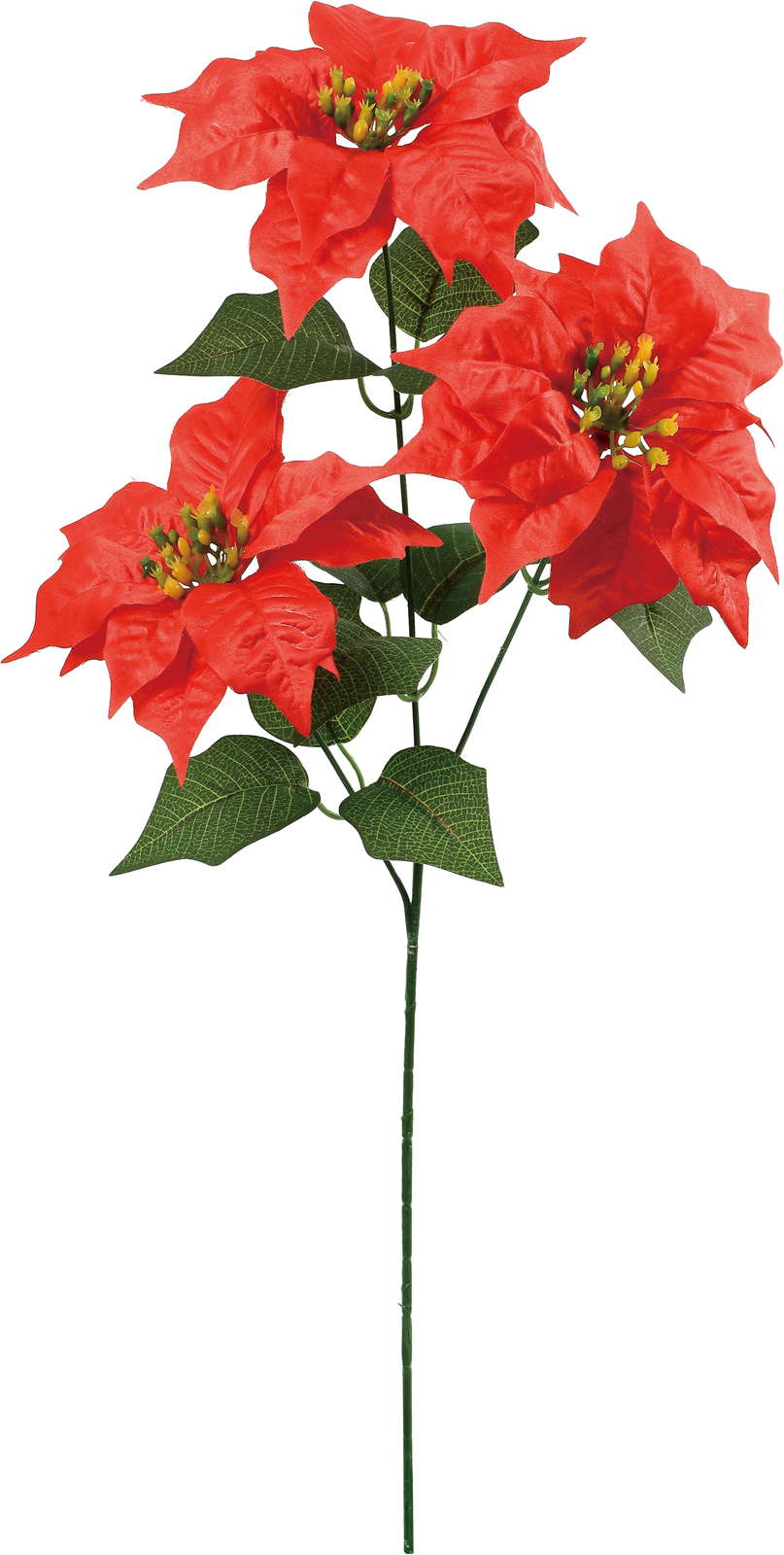 元上代¥780 ベルベットポインセチア*3