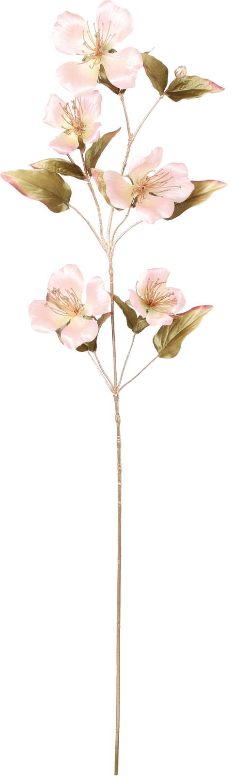 元上代¥1800 エレガンスケイパーフラワースプレー