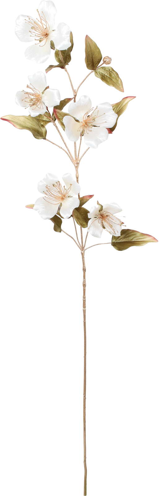 元上代¥1800 エレガンスケイパーフラワースプレー