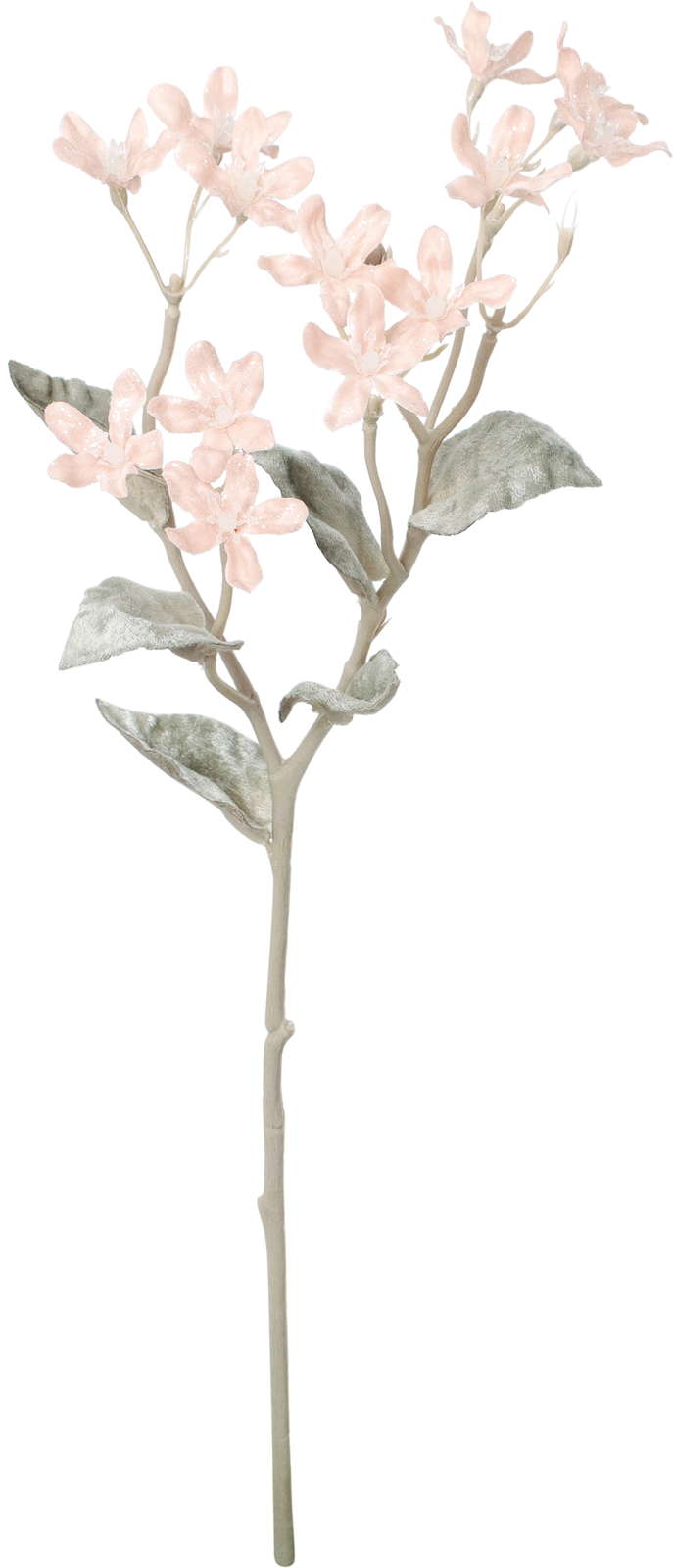 元上代¥450 スノーブルースタースプレー