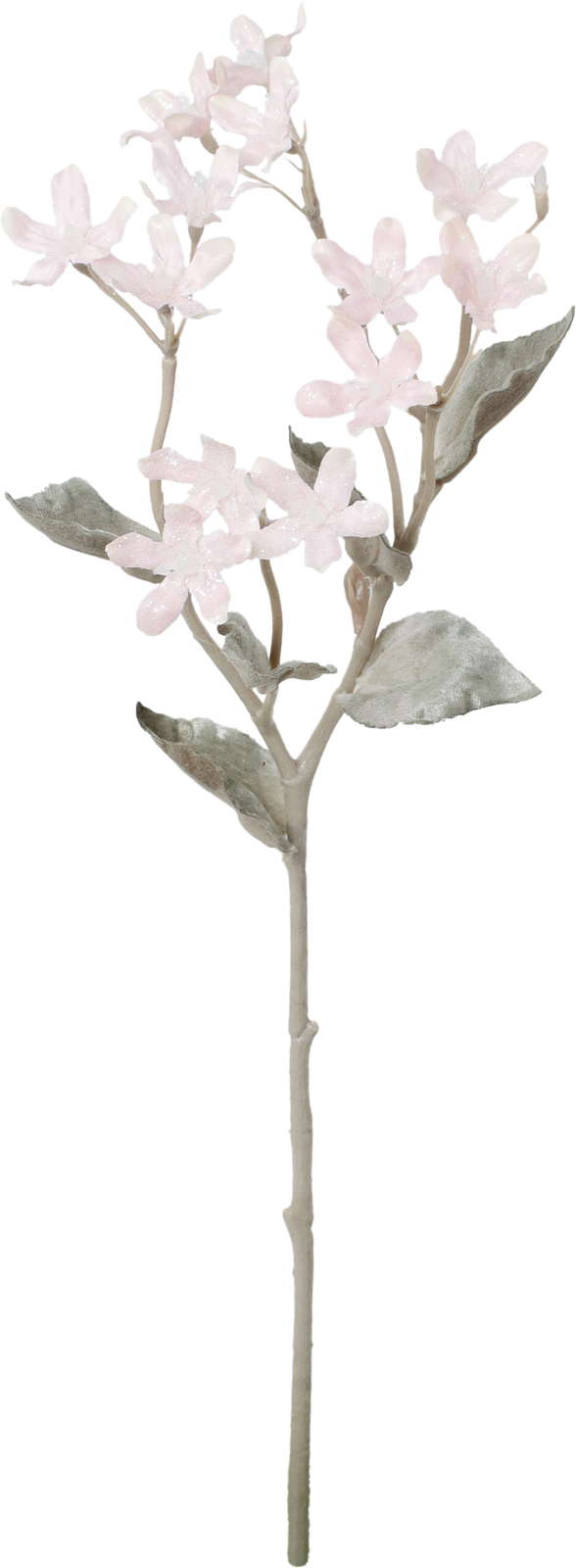 元上代¥450 スノーブルースタースプレー