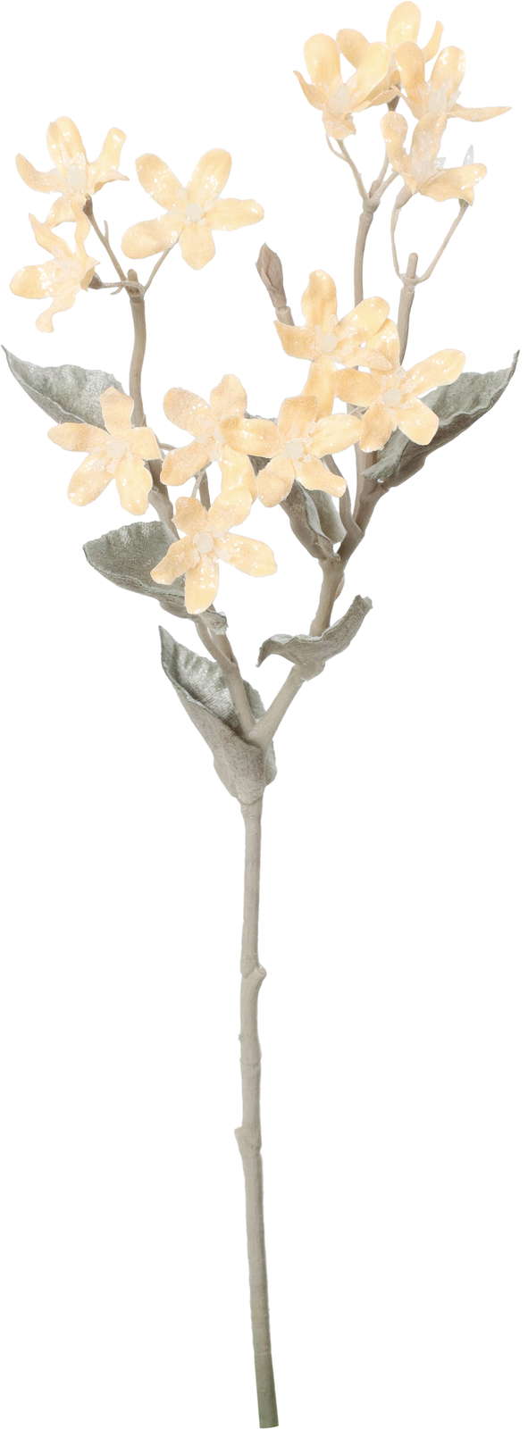 元上代¥450 スノーブルースタースプレー