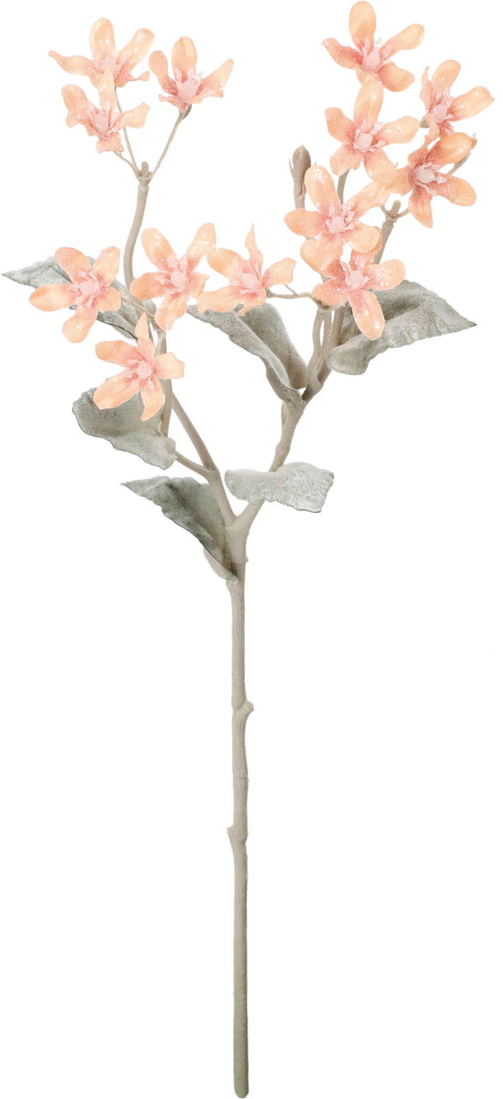 元上代¥450 スノーブルースタースプレー