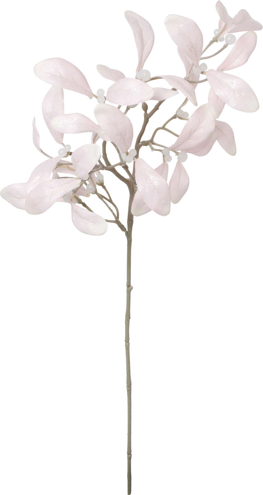 元上代¥450 スノーミスルトゥースプレー