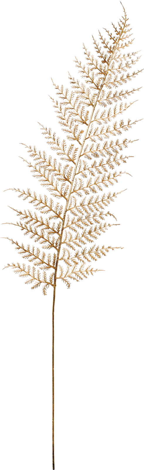 元上代¥280 ブリリアントシダーリーフ